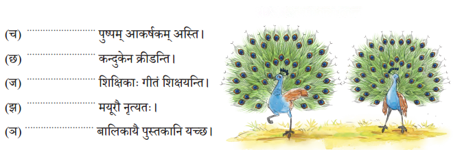 द्वीपेषु रम्यः द्वीपोऽण्डमानः Diagram 9