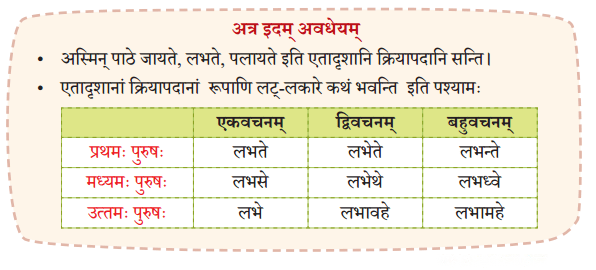 न लभ्यते चेत् आम्लं द्राक्षाफलम् Diagram 1