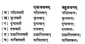 सेवा हि परमो धर्मः Diagram 4