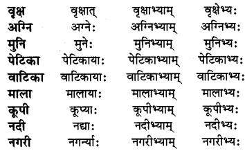 अन्नाद् भवन्ति भूतानि Diagram 4