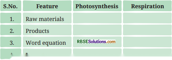 Life Processes in Plants Diagram 1