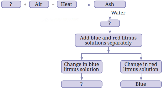 The World of Metals and Non-metals Diagram 1