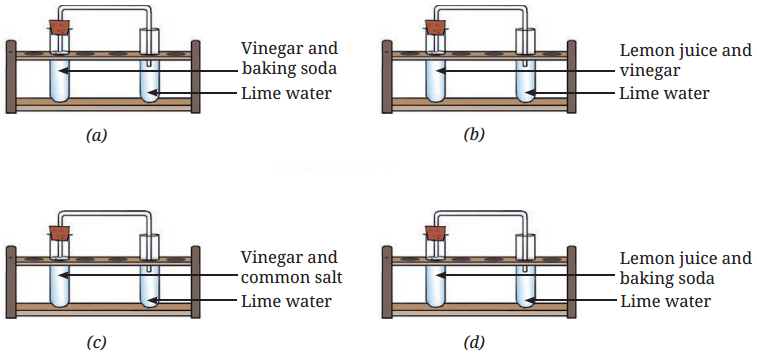 Changes Around Us Physical and Chemical Diagram 2