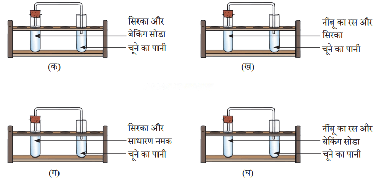 कक्षा 7 विज्ञान पाठ 5 हमारे आस-पास के परिवर्तन चित्र 2