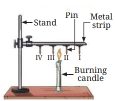 Heat Transfer in Nature Diagram 2