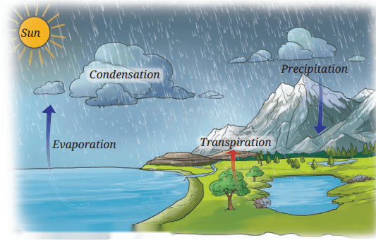 Heat Transfer in Nature Diagram 5
