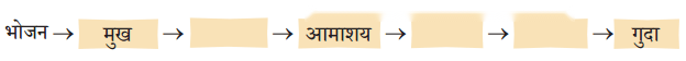 कक्षा 7 विज्ञान पाठ 9 जंतुओं में जैव प्रक्रम चित्र 1