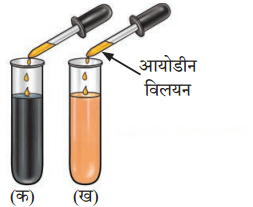 कक्षा 7 विज्ञान पाठ 9 जंतुओं में जैव प्रक्रम चित्र 3