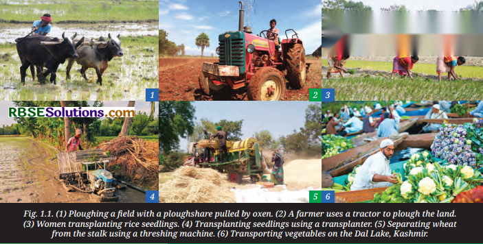The Story of Indian Farming Diagram 1