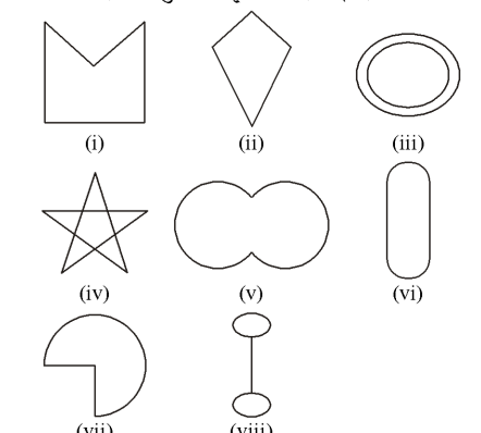 (i) M-shape, (ii) Kite, (iii) Two concentric circles, (iv) Star, (v) Figure-8, (vi) Capsule, (vii) Semicircle with a line, (viii) Circle with a line