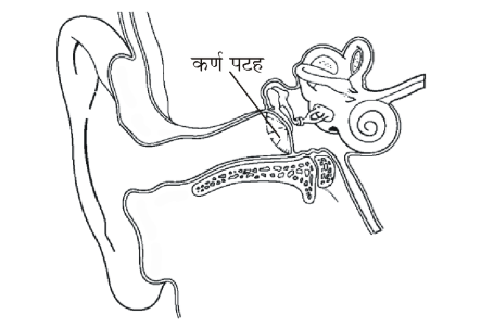 कक्षा 8 विज्ञान पाठ 10 चित्र 2