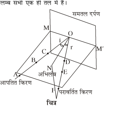 कक्षा 8 विज्ञान पाठ 13 चित्र 1