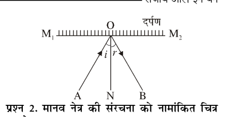 कक्षा 8 विज्ञान पाठ 13 चित्र 14