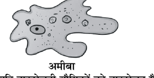 कक्षा 8 विज्ञान पाठ 2 चित्र 2