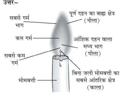 कक्षा 8 विज्ञान पाठ 4 चित्र 2
