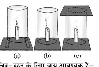 कक्षा 8 विज्ञान पाठ 4 चित्र 3