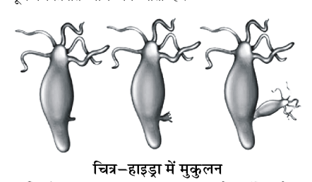 कक्षा 8 विज्ञान पाठ 6 चित्र 2