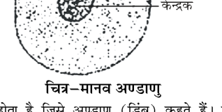 कक्षा 8 विज्ञान पाठ 6 चित्र 6