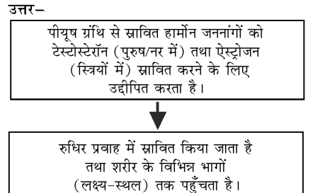 कक्षा 8 विज्ञान पाठ 7 चित्र 4