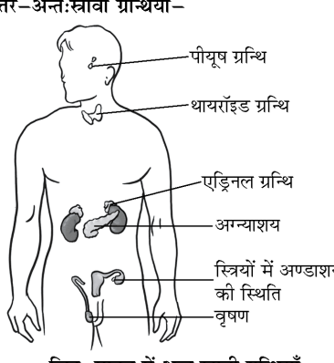 कक्षा 8 विज्ञान पाठ 7 चित्र 6