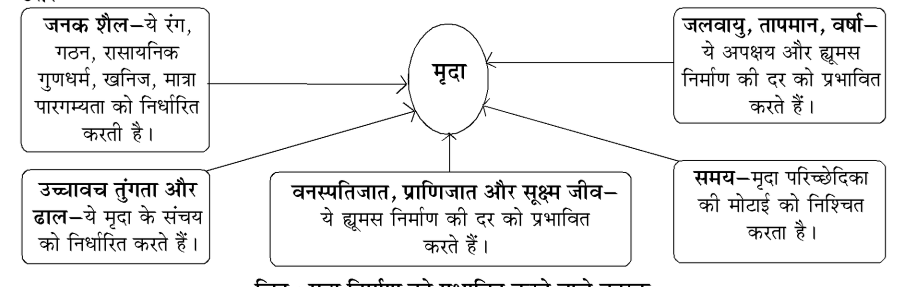 कक्षा 8 सामाजिक विज्ञान पाठ 18 चित्र 2