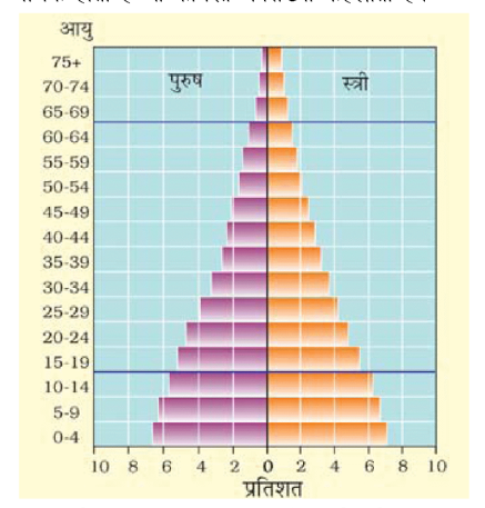 कक्षा 8 सामाजिक विज्ञान पाठ 22 चित्र 1