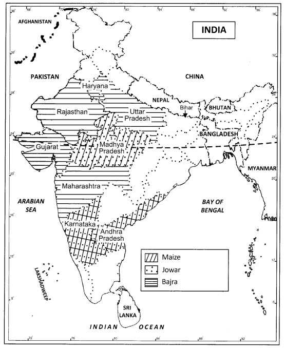 Class 12 Geography NCERT Solutions Chapter 5 Land Resources and Agriculture Map Based Questions Q2