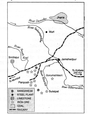 Class 12 Geography NCERT Solutions Chapter 8 Manufacturing Industries SAQ Q5