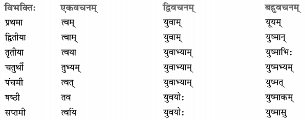 Class 8 Sanskrit Grammar Book Solutions सर्वनाम-प्रकरणम् 13
