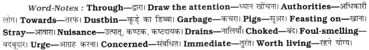 CBSE Class 8 English Composition Based on Visual Input 2.1