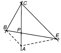 MP Board Class 7th Maths Solutions Chapter 5 रेखा एवं कोण Ex 5.1 10