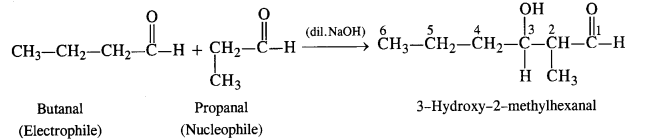 NCERT Solutions for Class 12 Chemistry Chapter 12 Aldehydes, Ketones and Carboxylic Acids te38