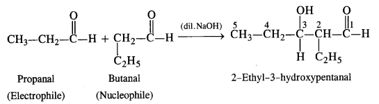 NCERT Solutions for Class 12 Chemistry Chapter 12 Aldehydes, Ketones and Carboxylic Acids t53