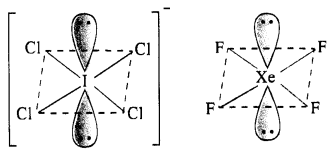 NCERT Solutions for Class 12 Chemistry Chapter 7 The p-Block Elements 40