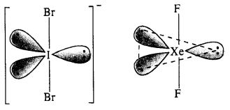 NCERT Solutions for Class 12 Chemistry Chapter 7 The p-Block Elements 41