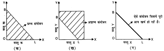 NCERT Solutions for Class 12 Microeconomics Chapter 2 Theory of Consumer Behavior (Hindi Medium) saq 16