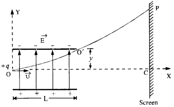 NCERT Solutions for Class 12 Physics Chapter 1 Electric Charges and Fields 38