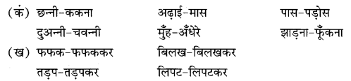 NCERT Solutions for Class 9 Hindi Sparsh Chapter 2 दुःख का अधिकार Q5