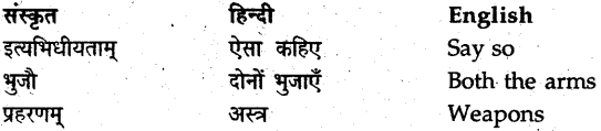 NCERT Solutions for Class 9 Sanskrit Shemushi Chapter 7 प्रत्यभिज्ञानम् 6