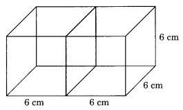Mensuration NCERT Extra Questions for Class 8 Maths Q13