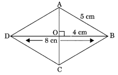 Mensuration NCERT Extra Questions for Class 8 Maths Q22