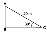 NCERT Solutions for Class 10 Maths Chapter 9 Some Applications of Trigonometry Ex 9.1 1