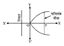 MP Board Class 11th Maths Solutions Chapter 11 शंकु परिच्छेद Ex 11.2 img-1