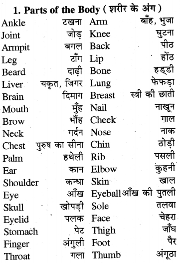 RBSE Class 7 English Application Writing 1