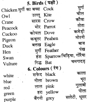 RBSE Class 7 English Application Writing 4