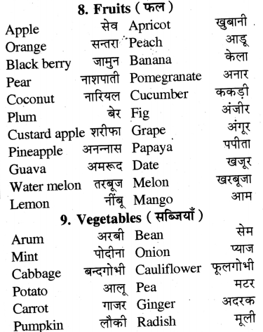 RBSE Class 7 English Application Writing 6