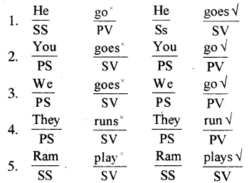 RBSE Class 7 English Grammar Tenses 3