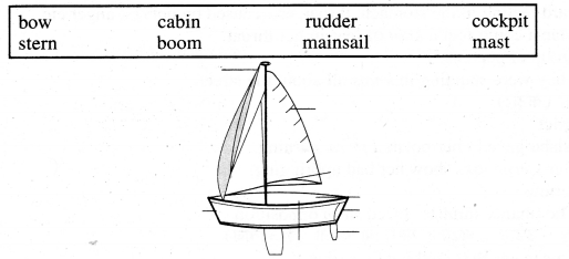 RBSE Solutions for Class 11 English Hornbill Chapter 2 We’re Not Afraid to Die… If We Can All Be Together 1