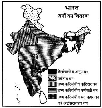 RBSE Solutions for Class 11 Geography Chapter 1 भूगोल एक विषय के रूप में 2
